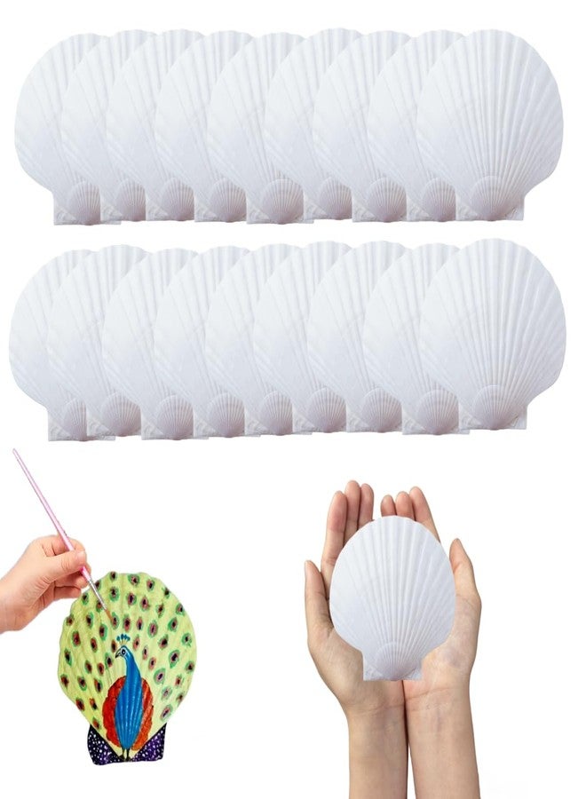 SINGEWOW 18PCS Shells White Scallop Shells, Large Natural Shells for DIY Painting Crafts Baking Cooking Serving Beach Aquarium Home Decoration (18Pcs Big Scallop) - Image 1
